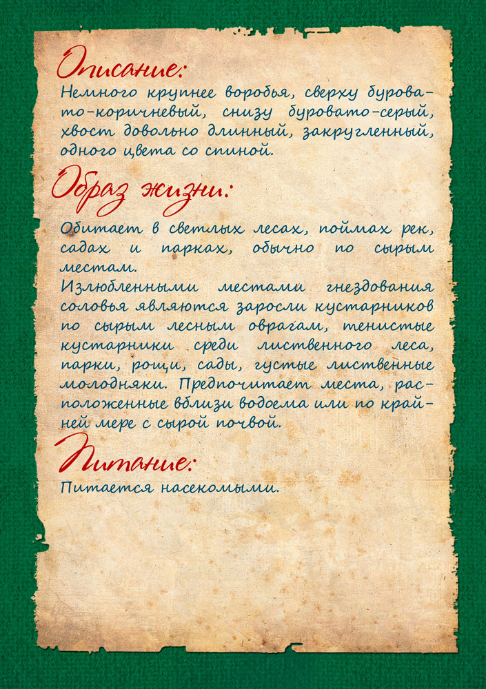https://www.lyceum-lomonosov.ru/wp-content/uploads/2015/02/страница-8.jpg